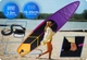 SUP Board PRO Stand UP Paddle Board Надуваний 12” 365cm 150kg Thunder - изображение 3