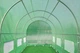 Теплиця парник тунель 2,5x4x2 - 10 м2 4 секції Focus Garden - изображение 8