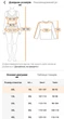 Туника пляжная женская длинная 20278 2XL Черный с золотистым - изображение 5