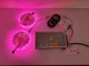 Набір Світлодіодна стрічка (10 метрів) 12V smd5050 ІР20 RGB 60led негерметична - зображення 5