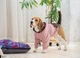 Худи для собак и кошек DIEGO hoodie розовое трикотаж трехнитка хлопок Размер XXL унисекс мягкая дышащая ткань капюшон на липучке цветочный принт декоративный карман - изображение 4