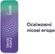 Миниблок стиков для нагрева табака Blends Purple 3 пачки (7622100545057_n) - изображение 2