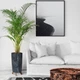 Горшок пластмассовый GRACIA TUBUS SLIM BETON EFFECT на ножках антрацитовый 20 см. (93640) - изображение 5