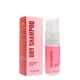Сухий шампунь для світлого волосся Top Beauty Dry Shampoo, 60 мл - зображення 1