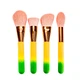 Набор кистей для макияжа Docolor Pineapple (16шт) DO-P1610 - изображение 3