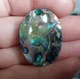 Абалон 48.25Ct (60704) - изображение 1