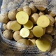 Насіннєва картопля Гала (Gala) 1 кг, 70-80 днів 2 репродукція - изображение 2