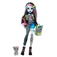 Кукла Монстер Хай Фрэнки Штейн с питомцем Monster High Frankie Stein with Pet Dog Watzie Mattel - изображение 6