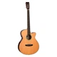 Акустическая гитара TANGLEWOOD TRS4 CE - изображение 1