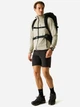 Спортивная кофта мужская Regatta HilldenMidlayer RML313-06Q L Бежевая (5063516327424) - изображение 3