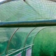 Садовая теплица парник 4 м² (2х2х2 м) армированная пленка UV-4 оцинкованный каркас Зеленая - изображение 3