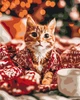 Картина за номерами Brushme Муркотіння Різдва 40 x 50 см BS54499 - зображення 1