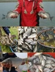 Добавка для теста херабуны Старый Призрак / Пшеничный глютен, волокна, 250 г прикормка, приманка - изображение 2