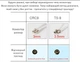 Антенна 4G 3G LTE выносная двойная MIMO 2x 7dBi TS9 700-2700 МГц, усиление сигнала для USB модемов, роутеров - изображение 7