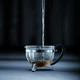 Заварочный чайник Bodum Chambord 1 л 1975-01 (06300192) - изображение 7