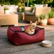 Уличная лежанка для маленьких собак BOSYAK Outdoor Waterproof 50x45 Бордовая (4-6 кг) - изображение 2