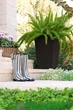 Горшок для цветов (кашпо) Keter Rattan Style Planter L (17192302) Коричневый - изображение 3