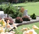 Бордюр садовий Prosperplast Garden Border 3.9 м коричневий (IBRA-R222) - зображення 2