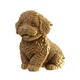 Мальтипу (MALTIPOO) - Картонный 3Д пазл - изображение 3