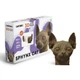 Картонный 3D пазл-конструктор "Cartonic 3D Puzzle Sphynx cat" Кот Сфинкс - изображение 1