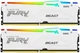 Пам'ять для настільних комп'ютерів Kingston FURY 32 GB DDR5 6000 MHz Beast RGB EXPO White (KF560C30BWEA-32) - изображение 1