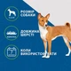 Фурминатор FURminator для собак с короткой шерстью Short Hair размер М - изображение 7