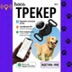 Поисковый GPS трекер для домашних питомцев HOCO Tiger intelligent positioning anti-lost device E91C маячок для собак и кошек - изображение 8