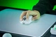 Мышь Razer Viper V4 PRO Wireless White (RZ01-05630200-R3G1) - изображение 8