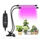 Фітолампа Світлодіодна Led Plant Grow Light На 2 лампи для рослин , квітів , розсади - изображение 1