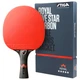 Ракетка для настольного тенниса Stiga Royal Carbon 5 Star FL (1215-2818-01) - изображение 1