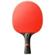 Ракетка для настольного тенниса Stiga Royal Carbon 5 Star FL (1215-2818-01) - изображение 5