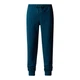 Брюки мужские The North Face M Nse Pant 44 Синій NF0A4SVQ1NO1 - изображение 1