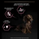 Сухой корм Purina PRO PLAN Small&Mini Adult 1+ Sensitive Skin для взрослых собак мелких пород с чувствительной кожей, с лососем 700 г (7613035120808) - изображение 7