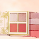 Набір косметики Romcom Mini Face Makeup Palette палетка книга тіні, рум'яна, хайлайтер та помади - зображення 4