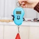 Кантер электронный Domotec MS-601 до 50 кг Голубой (1000011-LightBlue) - изображение 4