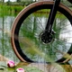 Велосипедная покрышка 28 дюймов бежевая боковина Vittoria Terreno PRO T60 mixed 40-622 (VT11A00577) - изображение 3
