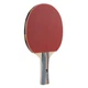 Ракетка для настольного тенниса Joola Team School Red/Black (1073-930770) - изображение 1