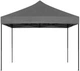 Pawilon ogrodowy ModernHome by Multistore PAW-FG-3X3-4 - obraz 2