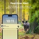 Фотопастка з сонячною панеллю Wolfang WT04 / 2К / 4G / Зелена Б/В - зображення 8