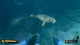 Ключ активации Deep Diving Adventures для Xbox One/Series S/X - изображение 9