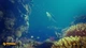 Ключ активации Deep Diving Adventures для Xbox One/Series S/X - изображение 15