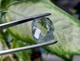 Топаз 53.76Ct. 22.6 X 17.8 X 15.8 mm (212264) - изображение 7