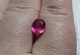 Рубін 2.54 Ct. 8.7 x 7.1 x 4.3 mm (43042) - зображення 8