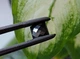 Муассанит 3.35 Carat 8.84 х 8.82 х 3.80 MM (387652) - изображение 4