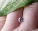 Шпинель 1.00Ct. 6.2 X 6.2 X 3.7 Mm (0517040) - изображение 6