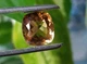 Цитрин 9.02 ct 13.6x12.7mm (684) - изображение 5