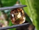 Цитрин 9.02 ct 13.6x12.7mm (684) - изображение 6