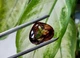 Империал топаз 32.66 Ct. 20.2 x 17.2 x 12.7 mm (18603) - изображение 7
