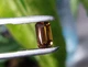 Натуральный турмалин 2.16 ct 9.2x5.3mm (7183) - изображение 8