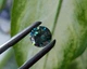 Муассанит 1.95 ct 8.31 x 5.06 mm (4102616) - изображение 2